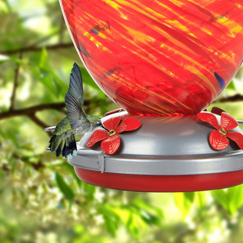 Hummingbird Feeder Base Replacement Parts Set Includes Hummingbird Feeder Bottom, 2 PCS Moat Hook 2 Pcs Brushes and 1 Pcs Replacement Seal Rings...